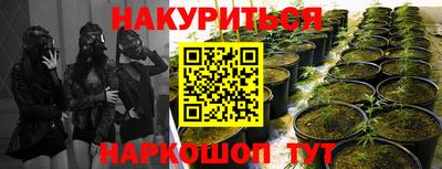 дмт Тверь