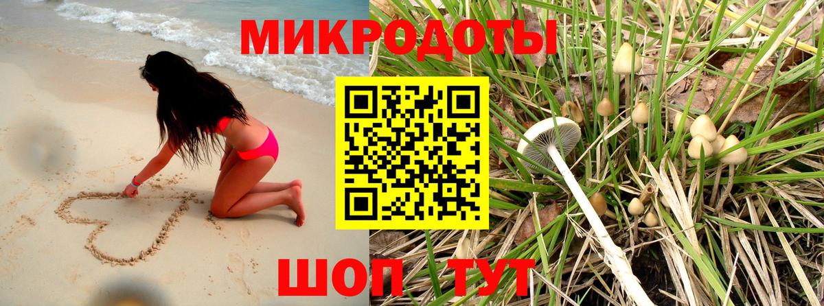 Псилоцибиновые грибы Cubensis Артёмовский